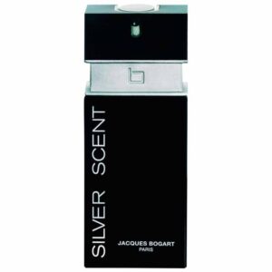 Perfumes Bons - Silver Scent